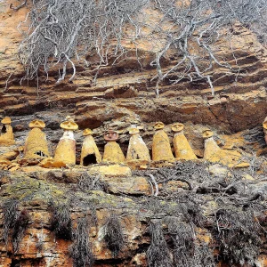 Sarcófagos del Tigre - San Gerónimo